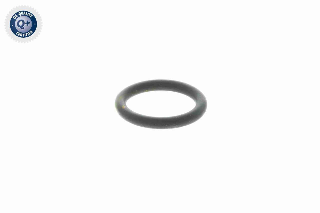 Seal Ring - V20-72-9901