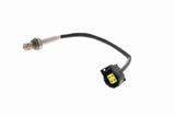 Oxygen Sensor - V30-76-0065