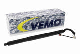 Electric Motor, tailgate - V10-55-0045