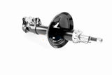 Shock Absorber - V10-4980