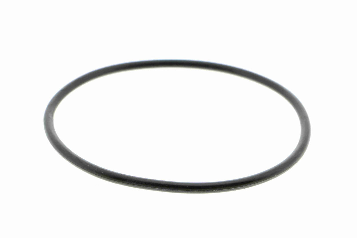 Water Pump, engine cooling - V10-50072