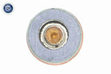 Warning Contact, brake pad wear - V30-72-0584