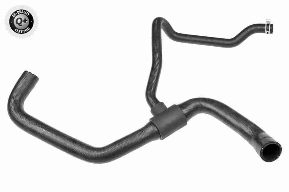 Radiator Hose - V21-0046