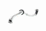 Radiator Hose - V20-2946