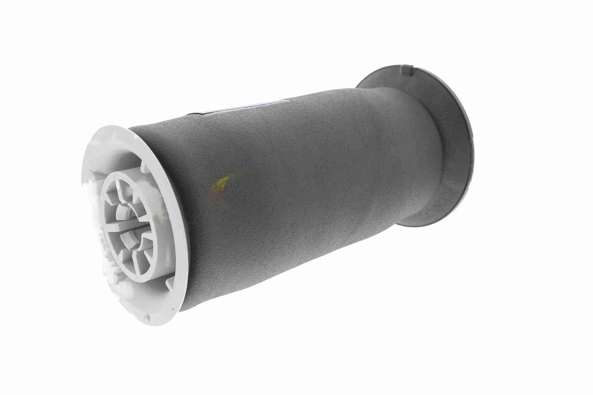 Air Suspension Strut - V20-50-0023