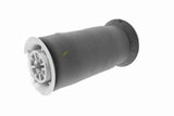 Air Suspension Strut - V20-50-0023