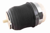 Air Suspension Strut - V15-50-0021-1