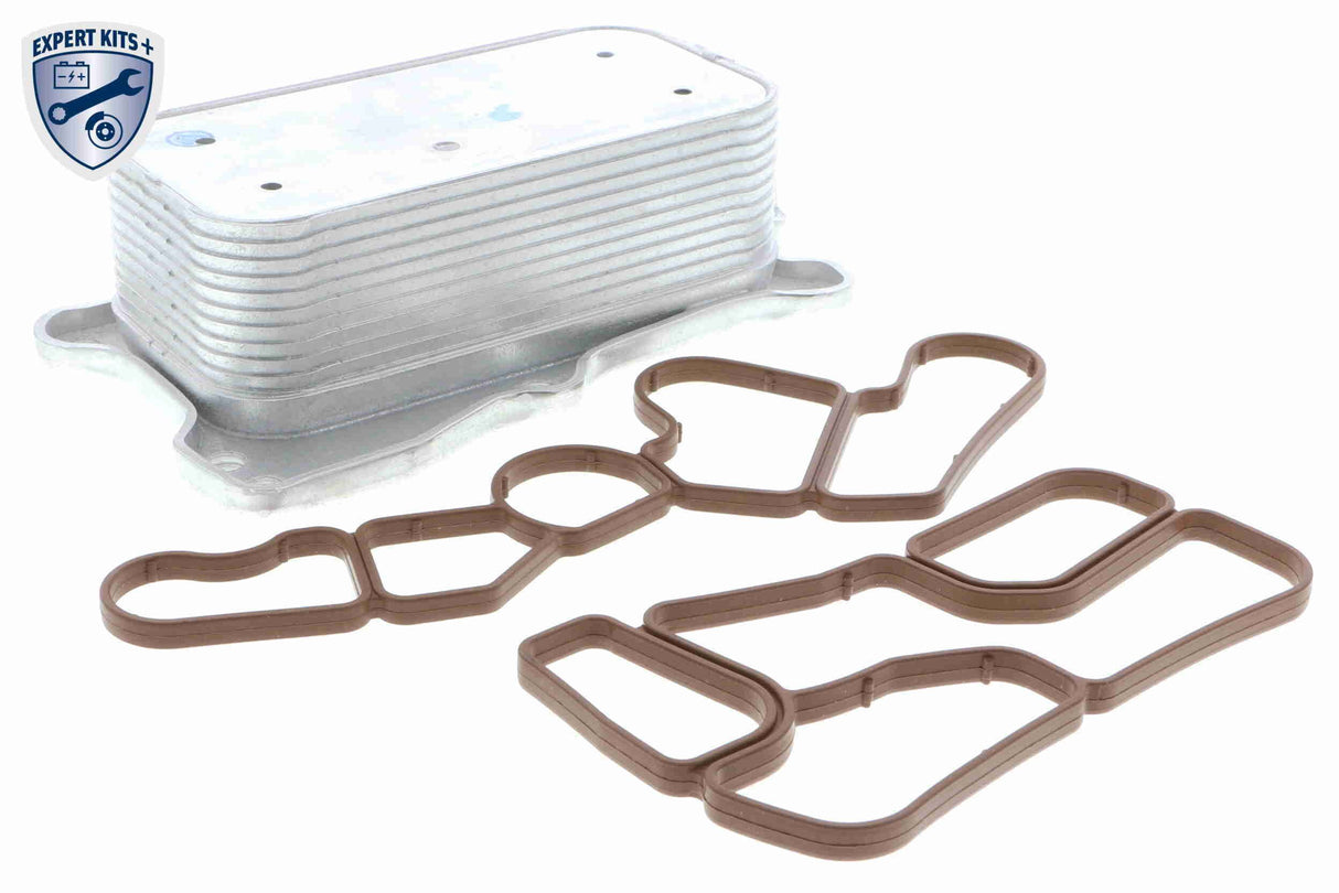 Oil Cooler, engine oil - V30-60-1321
