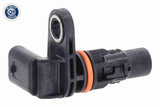 Sensor, camshaft position - V25-72-0319