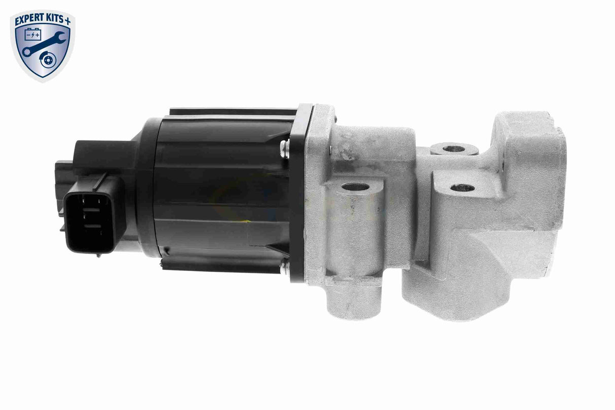 Valve, exhaust gas recirculation - V40-63-0064-1