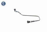 Radiator Hose - V20-0889
