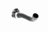Radiator Hose - V20-1667