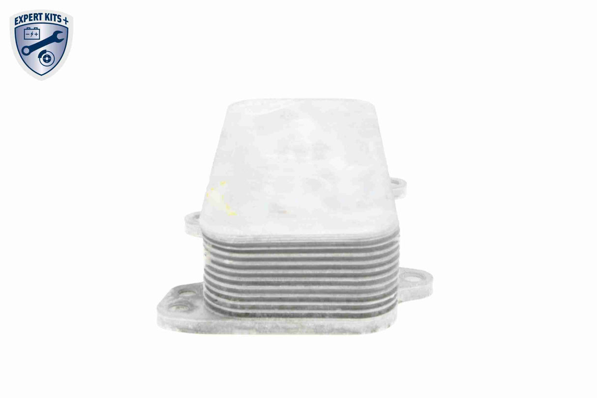 Oil Cooler, engine oil - V15-60-6017