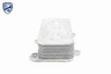 Oil Cooler, engine oil - V15-60-6017
