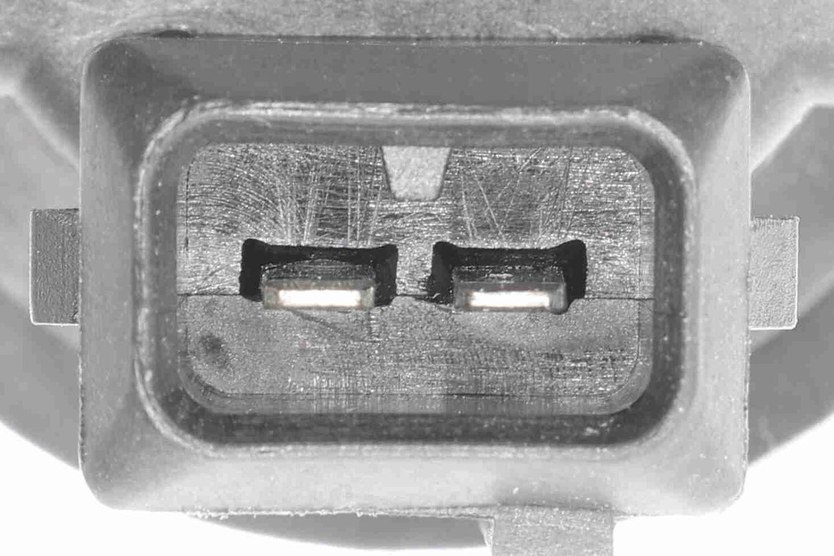 Charcoal Filter, tank ventilation - V20-77-1008