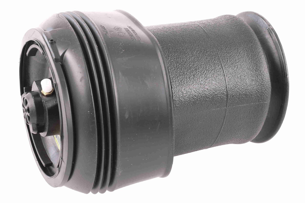 Air Suspension Strut - V20-50-0015-1