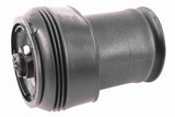 Air Suspension Strut - V20-50-0015-1