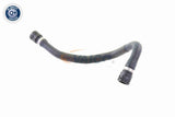 Radiator Hose - V20-1753