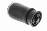 Air Suspension Strut - V20-50-0021-1