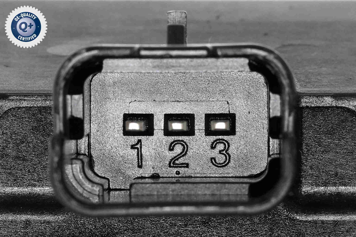 Throttle Body - V22-81-0006