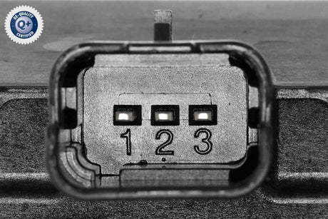 Throttle Body - V22-81-0006