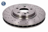 Brake Disc - V30-40069