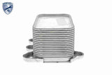 Oil Cooler, engine oil - V30-60-0005