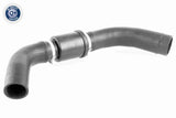 Radiator Hose - V25-1126