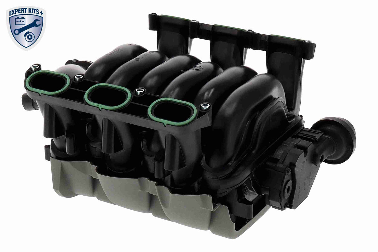 Intake Manifold Module - V10-6771