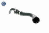 Radiator Hose - V20-1274