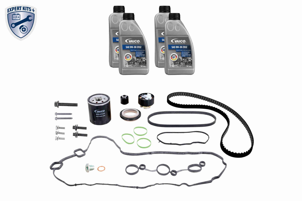 Timing Belt Kit - V22-0887