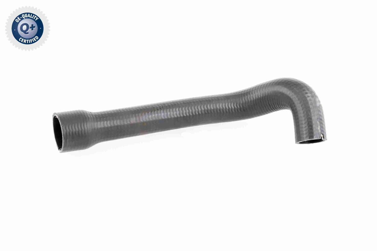 Charge Air Hose - V24-0719