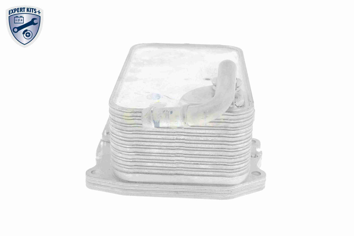 Oil Cooler, engine oil - V15-60-6075