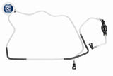 Fuel Line - V46-1355