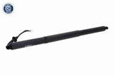 Electric Motor, tailgate - V10-55-0033