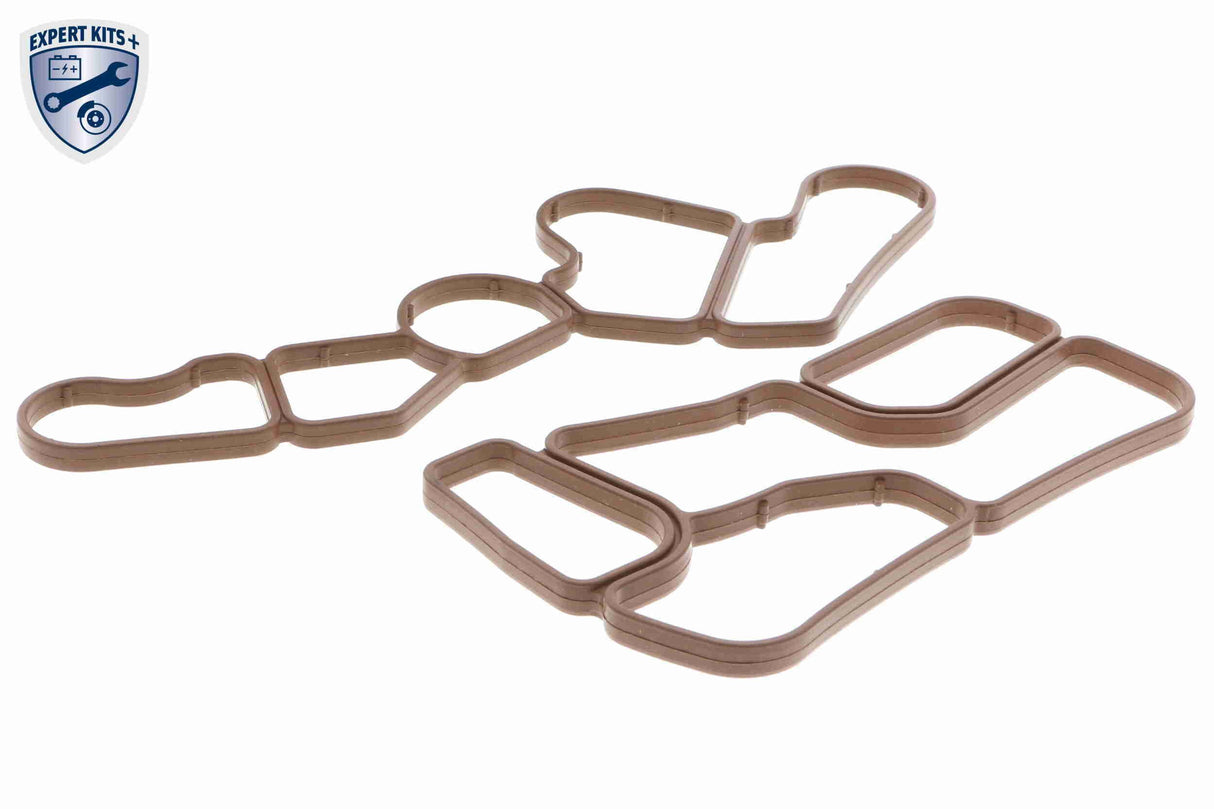 Oil Cooler, engine oil - V30-60-1321