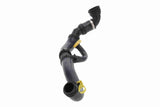 Radiator Hose - V48-0698