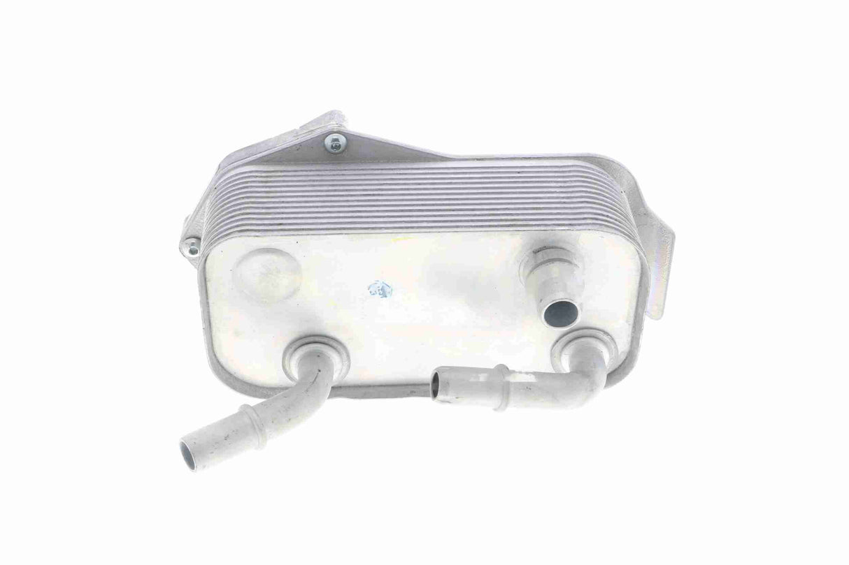 Oil Cooler, engine oil - V20-60-0040