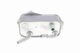 Oil Cooler, engine oil - V20-60-0040