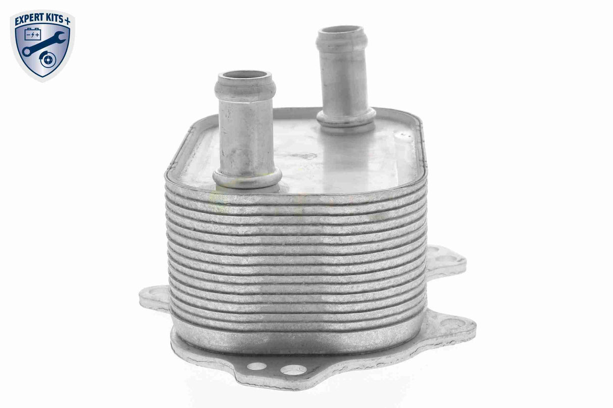 Oil Cooler, engine oil - V15-60-6091