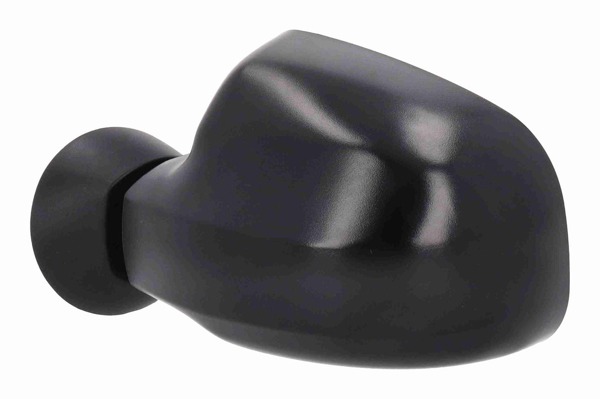 Exterior Mirror - V21-69-0010