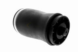 Air Suspension Strut - V20-50-0002-1