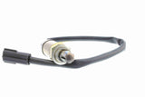 Oxygen Sensor - V51-76-0002