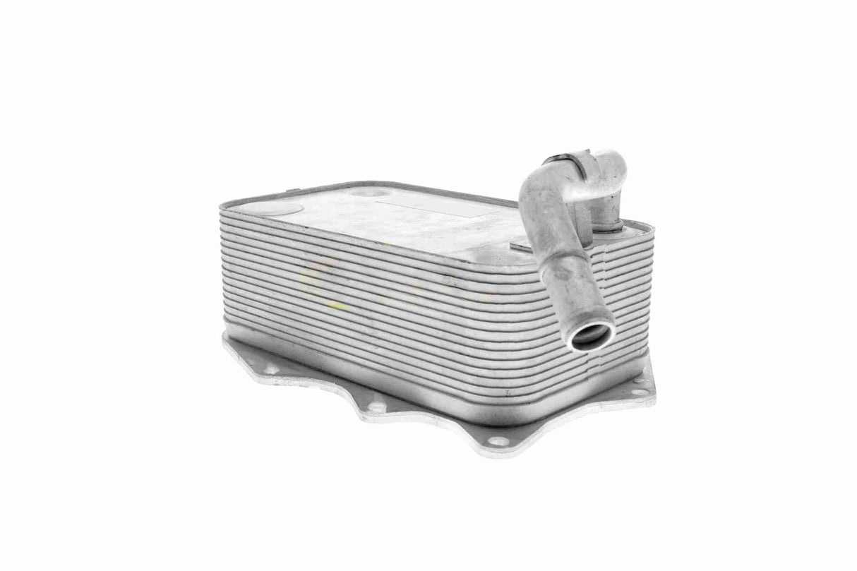 Oil Cooler, engine oil - V15-60-0008