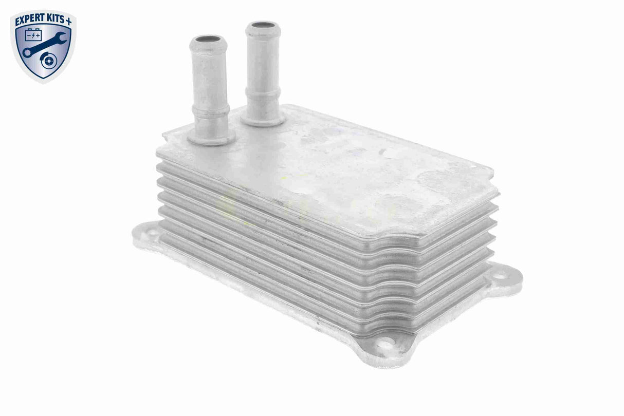 Oil Cooler, engine oil - V25-60-0033