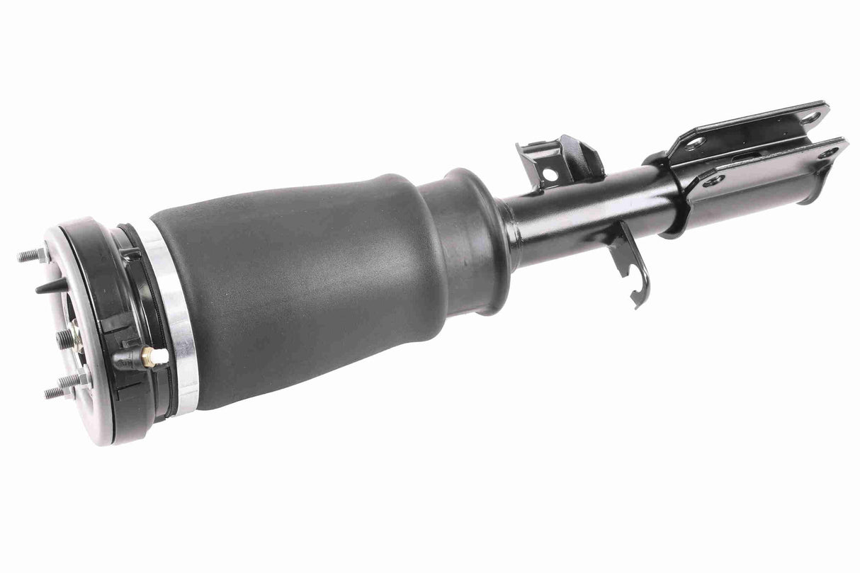 Air Suspension Strut - V20-50-0024