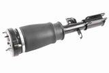 Air Suspension Strut - V20-50-0024