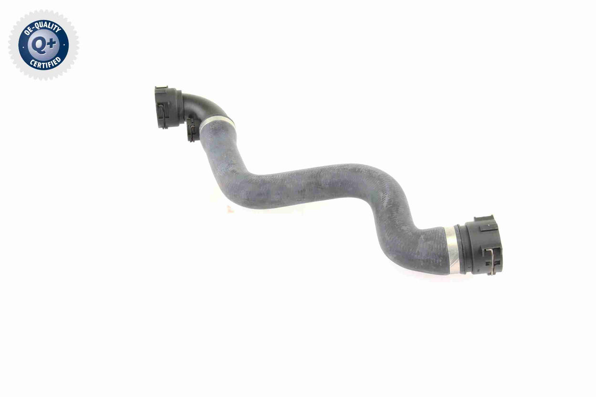 Radiator Hose - V20-0864