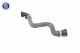 Radiator Hose - V20-0864