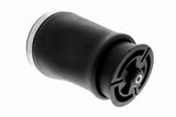 Air Suspension Strut - V20-50-0020-1